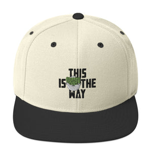 This Is The Way (Black Lettering) - Snapback Hat